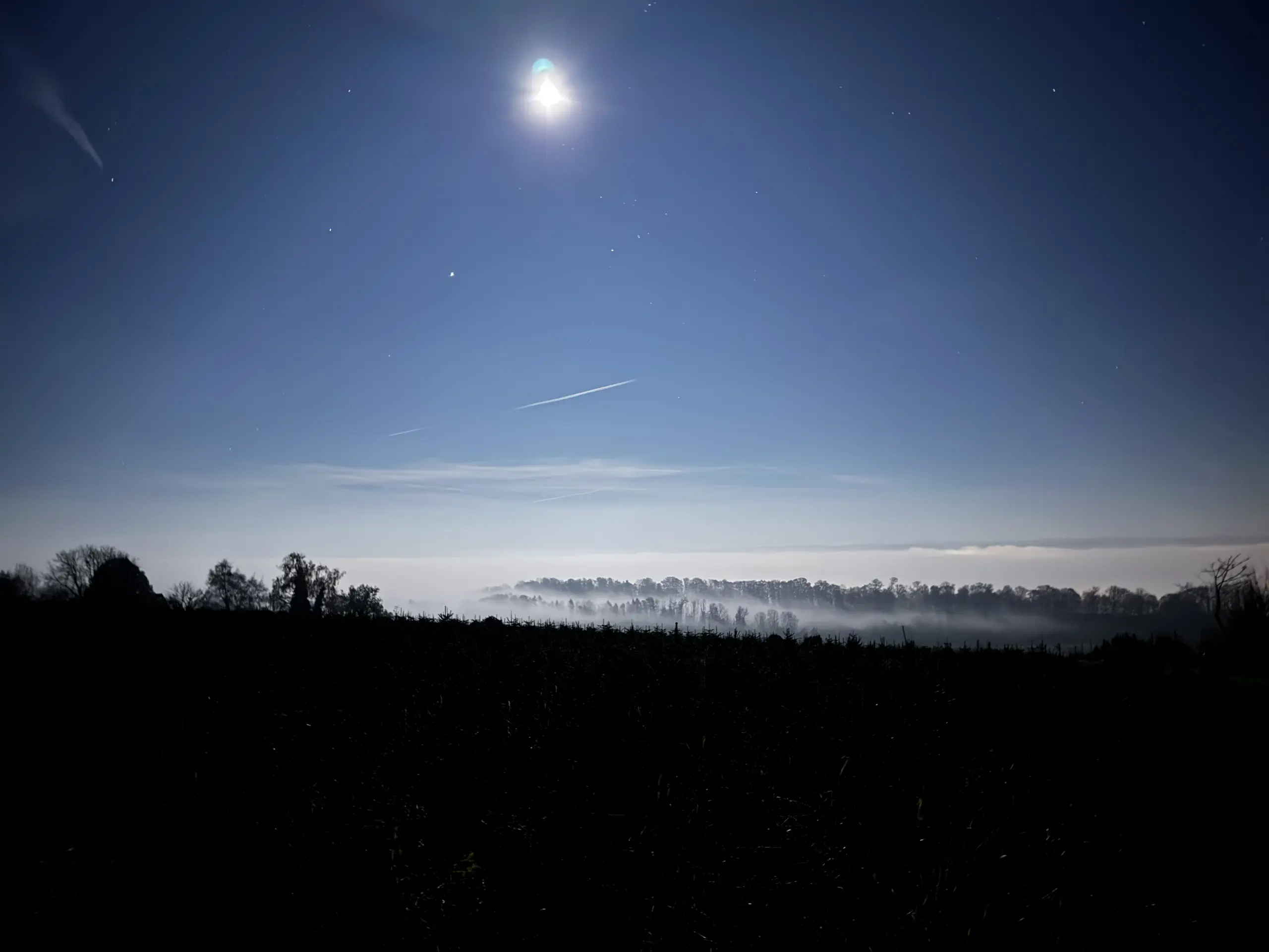 Weingarten Skyline Bild 3